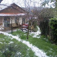 Naama Berenstain's Photo