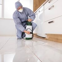 Pest Control Bendigo's Photo