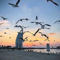 Абдумалик Ташпулатов的照片