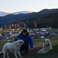 Adel Alhothali的照片