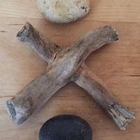 Photos de Dayna Mondello