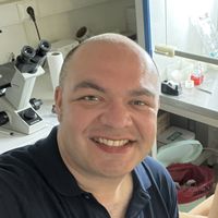 Behrad Schaghaghi的照片