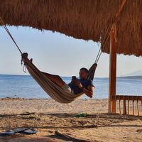 Hossam Abdelkhalik's Photo