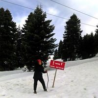 Fotos de Nayera Amin