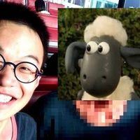 Fotos von Yueting Jiang