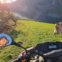 Mustafa Ezzahi's Photo