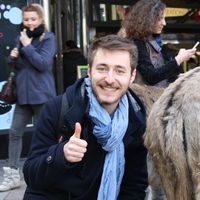 Фотографии пользователя Michele Firmo