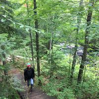 Caroline Poles的照片