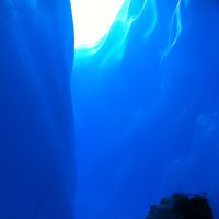 Katharina Rajewsky v. Pawel's Photo