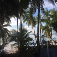 Naoki Arakawa的照片