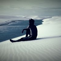 nicolas latimier的照片