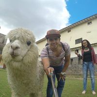 Fotos de Juan Fernando