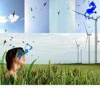 Marie Doreau's Photo