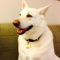 Neslihan Brunton的照片