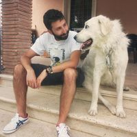 Simone Grimaldi的照片