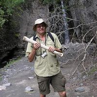 Фотографии пользователя Wade A