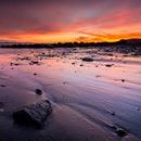 After The Crash: Welcome To WRECK BEACH!!!'s picture