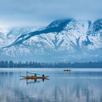 imran malik的照片