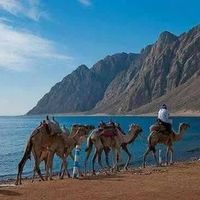 Ehab Abd alazez's Photo