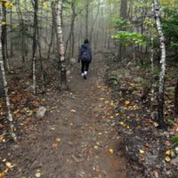 Pénélope Robineau's Photo