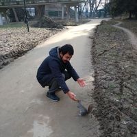 Fotos von Sedat Kaya