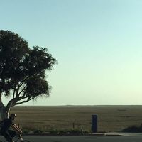 Photos de Mary Gurton