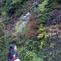 Ana María Trujillo's Photo