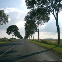 Hugo Van Hyfte的照片