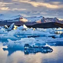 Trip to Glacial Area (June 22–23)  's picture