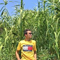 Mert Üstün的照片