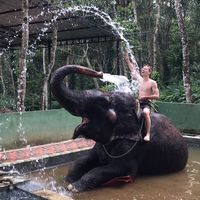 Pierre-Yves Laurent的照片