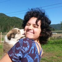 Simone Schriger's Photo