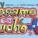Besame Mucho Music Festival's picture