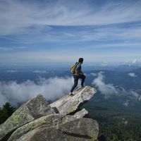 Zach Wilkins的照片