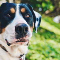 Britainy Stamps's Photo