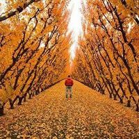 Fotos de Mourad Gladiator