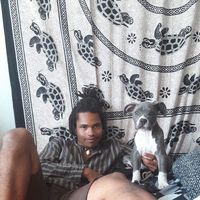 Richard Johansson的照片