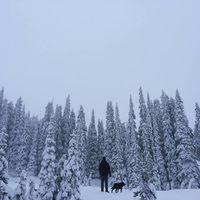 William Reid's Photo