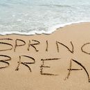 CS Spring Break Party's picture