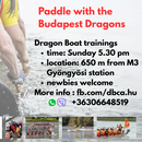 Sunday Dragon Boat Training's picture