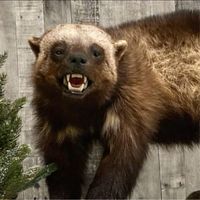 Darryl Friesen's Photo