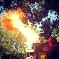 Américo Ribeiro的照片