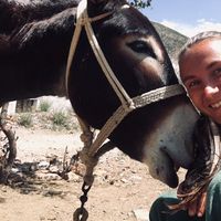 Alexandra Rheto的照片