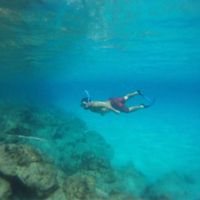 andres chucao的照片