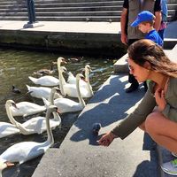 Sarah Schmitz的照片