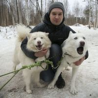 Ivan Starikov的照片