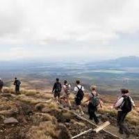 Medhi  Trena's Photo