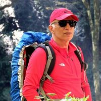 mohammadreza jalali's Photo