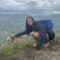 Photos de Hannah Obrul