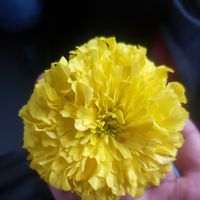 Photos de Abdallh Issa